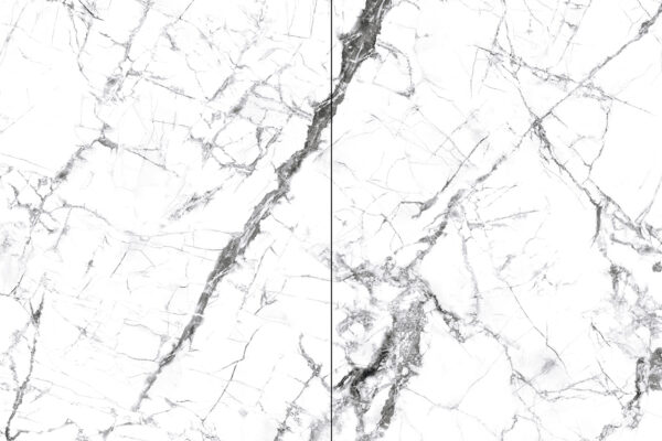 INVISIBLE WHITE