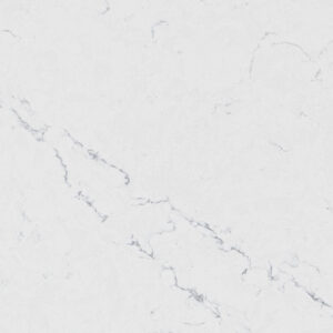 statuario exclusive 9901